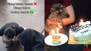 Hadiah hari jadi untuk si isteri, raikan cintanya dengan pemberian sempurna penuh kasih sayang. Kucing Ini Dapat Kejutan Ulang Tahun Dari Pemiliknya Bikin Warganet Iri Citizen6 Liputan6 Com