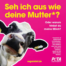 Im ls 19 produziert eine kuh nach den angaben des threaderstellers ca 100 liter milch am tag, jedoch ist der milchpreis nun in. Peta Deutschland Kuh Milch Ist Babynahrung Fur Kalber Wie Bei Jedem Saugetier Muss Auch Eine Kuh Erst Schwanger Sein Um Milch Geben Zu Konnen Leider Hat Milch Konsum Auch Ganz Viel Mit Dem