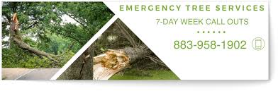 Call metro tree service today if you need any of the following tree services in the kansas city, overland park & shawnee. Professional Tree Care Services All Star Tree Services