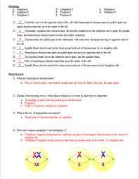 Start studying biology 11 4 meiosis worksheet. Cell Division Meiosis Test Review Questions And Answer Keys Tpt