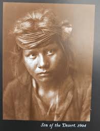 I](https://www.linkedin.com/pulse/south-pacific-islander-organization-501c3-dedicated-hirshon/)  recently created a 501(c)3 nonprofit, South Pacific Islander Organization,  focused