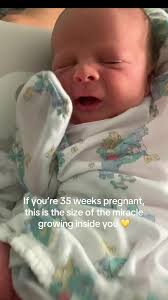 Sweet Baby Leo: Celebrating 35 Weeks of Pregnancy