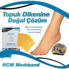 Ncm International Urun Sunumu 1 Kariyer Universite Metabolizma