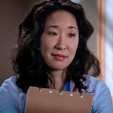 How come it took me SO LONG to realize that Christina Yang is in the  Princess Diaries 😭