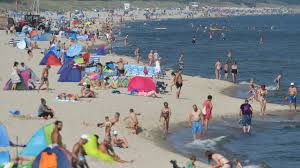 See germ theory of disease.the term was specifically used in reference to motile microorganisms, and the name of the genus vibrio derives from this term. Zweiter Todesfall Durch Vibrionen Infektion In Ostsee