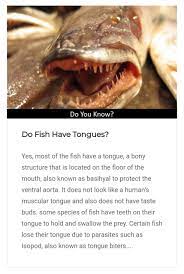 Fish use tongue muscles to thrust food backward, while mammals use tongue muscles to position food for grinding. Pin By Perfect Atom On Tell Me Why Fish Tongue
