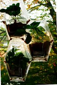 Http Lepamphlet Com Wp Content Uploads 2012 10 Window Agriculture 02 Png Agriculture Urbaine Agriculture Cultiver