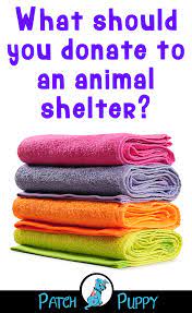 Things To Donate To Animal Shelters The Dos And The Most Definitely Don Ts Patchpuppy Com Animal Shelter Animal Shelter Donations Animal Shelters Near Me