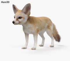 3d Model Of Fennec Fox Hd Fennec Fox 3d Model Fox