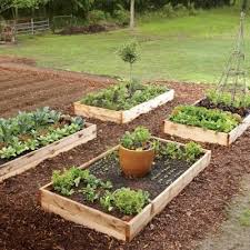 Spring Garden To Table Planting Guide Cooking Light Easy Garden Ideas Landscaping Backyard Garden Landscape Backyard Garden
