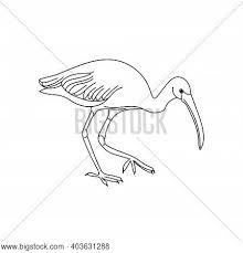 Most of them sing equally well too! Silhouette Wading Vector Photo Free Trial Bigstock