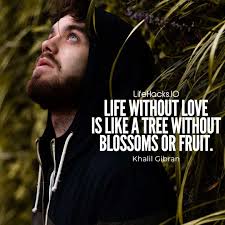 To love someone is to experience every other emotion outside of the. 50 Romantic Love Quotes To Express Your Lovely Emotions