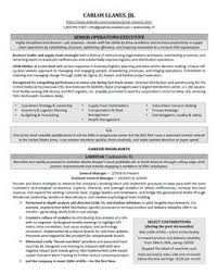 Once you download our resume/cv template, you will get a pack of documents. Executive Resume Samples Professional Resume Samples