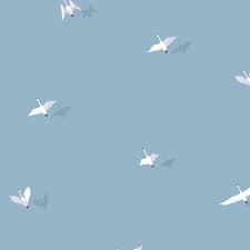 Colorful Birds Flying In The Sky Gif Https Encrypted Tbn0 Gstatic Com Images Q Tbn 3aand9gct4o5towvlba6hh1lzirtdelugkl3k49vorkw Usqp Cau