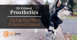 For Most Of Us Pets Are More Than Morning Jog Buddies Or Night House Guards They Are Life Companions We Consider As Family Thus It Prints Prosthetics Pets