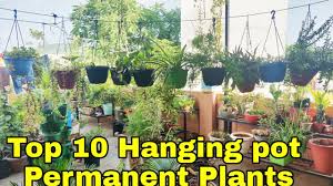 All you really need is a container capable of holding potting soil, some plants, and a place to hang the finished product. Top 10 Hanging Pot Permanent Plants Best 10 Permanent Hanging Plants For Your Garden Youtube