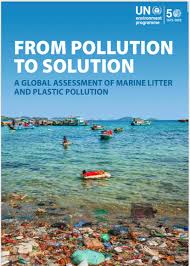 FROM POLLUTION TO SOLUTION