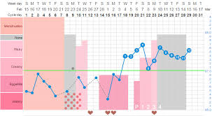 Could Someone Look At My Bbt Chart Babycenter