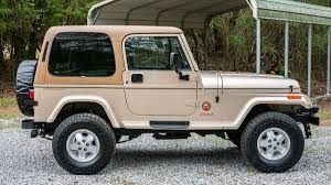 Image result for Stone Beige 1994 Reliant