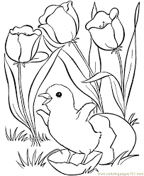 Print out your favorite candy, food, beverage, vegetable, fruit, drink, picnic, egg and cooking coloring pages. Spring Coloring Page For Kids Free Chicks Hens And Roosters Printable Coloring Pages Online For Kids Coloringpages101 Com Coloring Pages For Kids