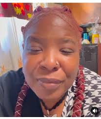 Boxer dogs destroying toys and chewables