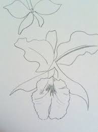 Colombian Flower Tattoo Pin Cataleya Colombian Flower Cattleya Flower Tattoo Tattoos Flowers