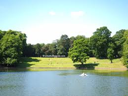 A legjobb hotelek bois de la cambre, brüsszel közelében. Bois De La Cambre S Marks The Spots