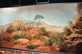 Biotope Reptile Terrarium Tropicarium Kolmarden Gallery Reptile Terrarium Bearded Dragon Vivarium Bearded Dragon Terrarium