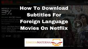 Subtitle is really useful when you're watching movies or tv shows, especially watching the foreign language films, tv shows or videos. How To Download Subtitles For Foreign Language Movies On Netflix Youtube