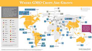 Where Are Gmo Crops And Animals Approved And Banned Genetic Literacy Project
