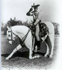 The Original Silver Was A Tennessee Walking Horse Horses Lone Ranger Tennessee Walking Horse