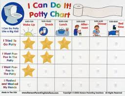 Kids Toilet Seat Adapter Toilet Training Reward Chart Nz