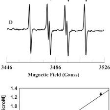 Owing to this simple method, the breeder can detect ovarian cycle. Pdf Sulfite Oxidase Activity Of Cytochrome C Role Of Hydrogen Peroxide