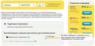 Medicinskaya Strahovka Dlya Vyezda Za Granicu Onlajn Oformlenie Turisticheskoj Strahovki Espanglish