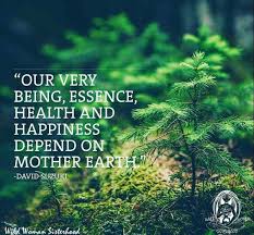 Bolivian president evo morales said sixty years after adopting the. Pin By Sarah Edmundson On Nature Mother Nature Quotes Nature Quotes Green Nature Quotes