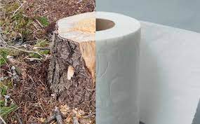 Unrolling Charmin S Sustainability Claims Nrdc