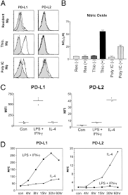 En het gaat hem dan heus niet over het mijden van steegjes in het holst van de nacht. Pd L1 And Pd L2 Are Differentially Regulated By Th1 And Th2 Cells Pnas