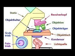 Mikroskope Aufbau Geschichte Funktion Induuxwiki