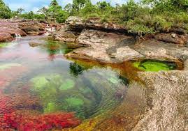 And la macarena is a relatively small town with a population of about 30,000. How To Get To Cano Cristales The Rainbow River Of Colombia