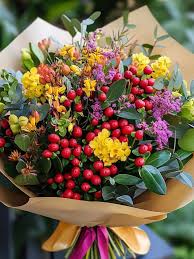 Image result for Hypericum