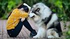 Amazon: The Best Dog in the World: Vintage Portraits ...