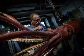 Maybe you would like to learn more about one of these? Giant Squid Gets Makeover Before Showtime