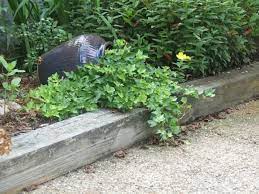 Pin On Gartengestaltung Garten Und Landschaftsbau