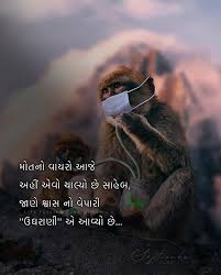 Bio For Instagram For Boy Attitude 2020 Gujarati L I T E F E E L I N G S On Instagram Follow Lite Feelings Official Feelings Gujarat Gujarati Gujju Guj In 2020 Genius Quotes Zindagi Quotes She Quotes