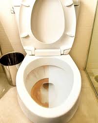Begin by turning off the water and flushing the toilet to drain the tank completely. Iron Out Rust Stain Removers Automatic Toilet Bowl Cleaner Summit Brands