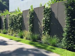 Sichtschutz Sichtschutzelemente Gartengestaltung Sichtschutzwand Garten