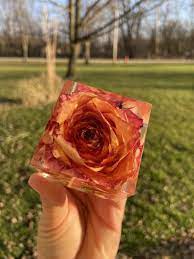 Sunset Yellow Orange Red Rose Flower In Clear Epoxy Resin Art Cube Paperweight Gift Idea Clear Epoxy Resin Red Rose Flower Epoxy Resin Art
