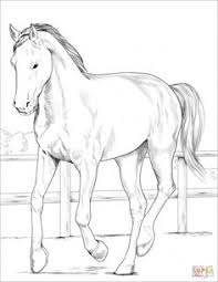 Select from 35653 printable crafts of cartoons, nature, animals, bible and many more. 560 Horse Coloring Pages Ideas Horse Coloring Pages Horse Coloring Coloring Pages