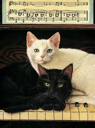 Casadagata Cats Illustration Cat Art Cat Painting