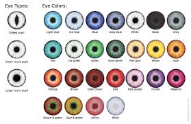 Eyes Colorchart Jpg 1254 813 Eye Color Chart Types Of Eyes Rare Eye Colors